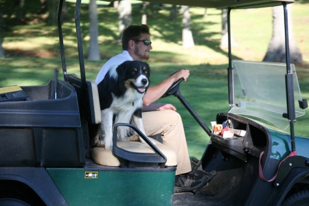 Golf course staff driving in an off-road vehicle with a dog